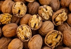 Cardamom